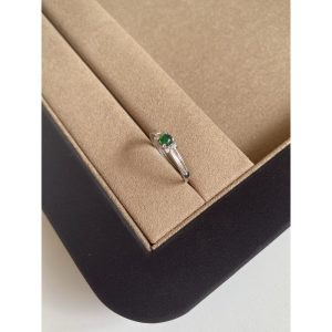 Viridis Porticus Collection